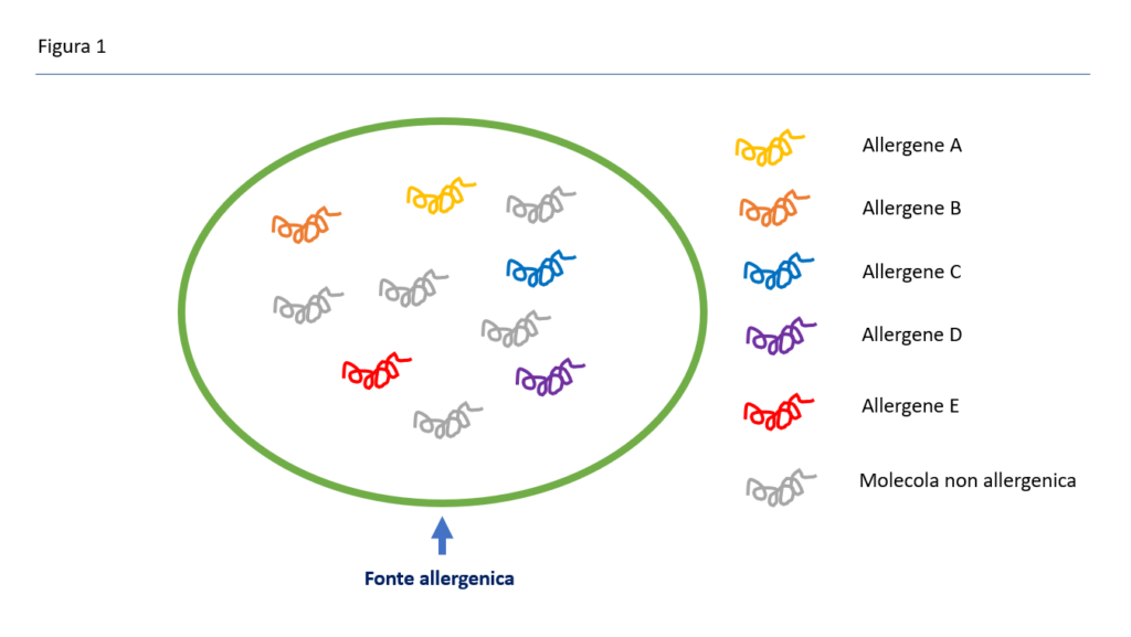 Figura 1 Allergologia Molecolare
