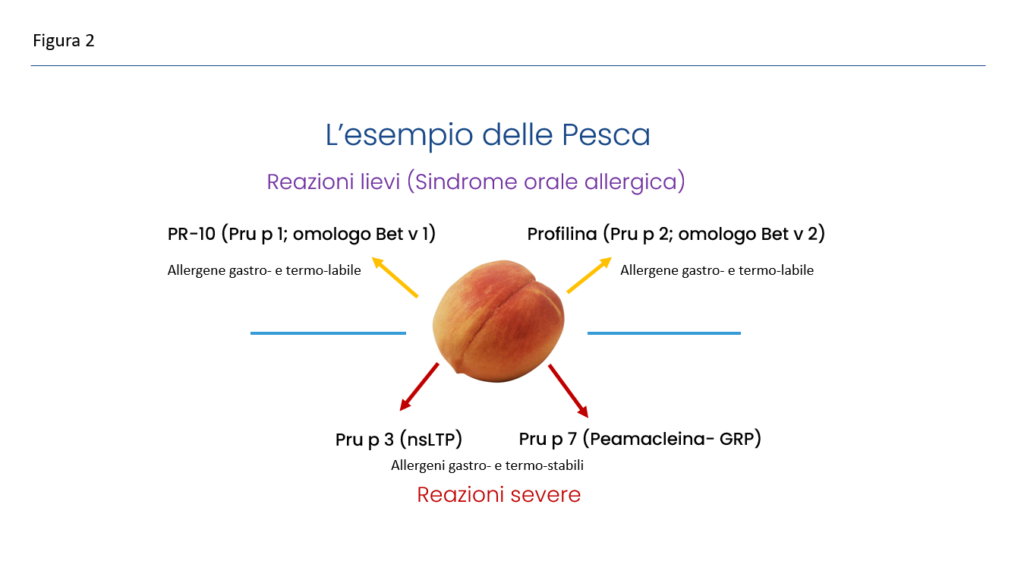 Figura 2 Allergologia Molecolare